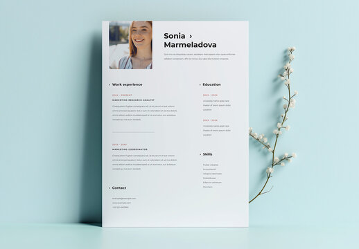 Minimal and Clean Resume with 2 Size Options