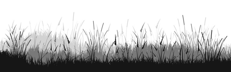 Fototapeta premium Meadow silhouette with grass, plants on plain. Panoramic summer lawn landscape with herbs, various weeds. Herbal border, frame element. Black horizontal banners. Vector illustration
