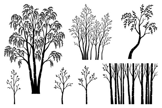 Silhouette collection of birch trees and branches in various styles.