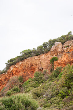 Nature background with wall of rock, sky and green crowns of forest
