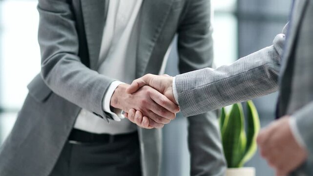 Two professionals shake hands firmly