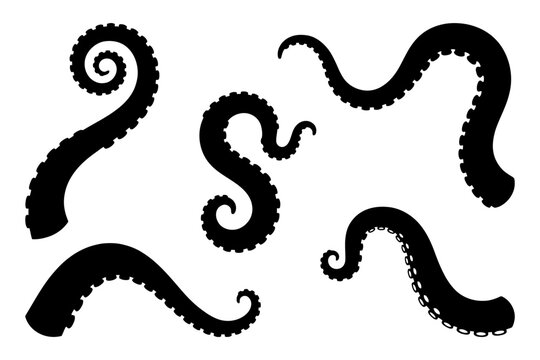 Silhouette of curved tentacles with suckers on white background.