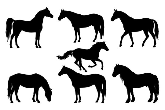 Silhouette collection of horse poses in various stances on white background.
