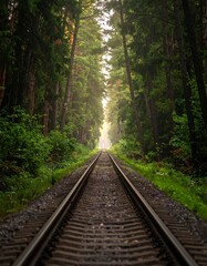 Fototapeta premium Railway tracks through dense green forest leading towards sunlight