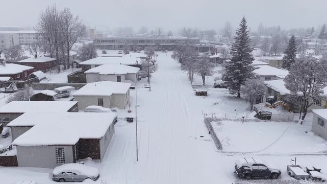Cinematic drone video reveals Selfoss, Iceland, blanketed in deep snow. Still, overcast light casts a serene tone across quiet homes, empty street, and frosted trees in a peaceful winter scene.