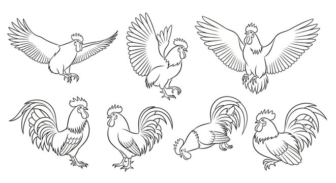 Rooster Set Line Art, Hand-Drawn Chicken Poses in Black and White