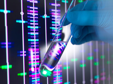 Gloved hand holding test tube with DNA analysis in biotechnology lab