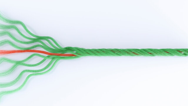 Braided threads, 3D Rendering