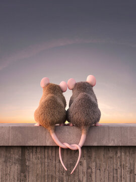 Two mice in love watching sunset, sitting on wall