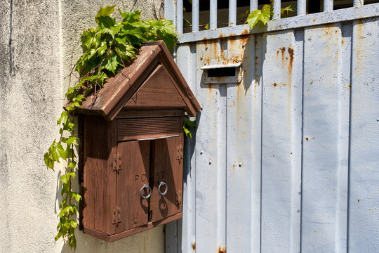 Vintage wooden mailbox shaped like house hanging on wall next to an old rusty metal gate covered with green ivy leaves.