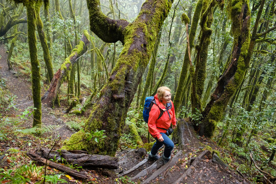 Spain, Canary Islands, La Gomera, woman hiking through cloud forest at Garajonay National Park