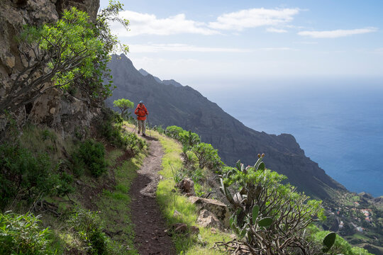 Spain, Canary Islands, La Gomera, Valle Gran Rey, Lomo del Carreton near Taguluche, hiker