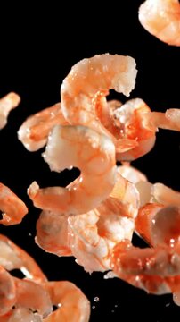 Fresh shrimp fly up and fall down. On a black background. Filmed on a high-speed camera at 1000 fps.