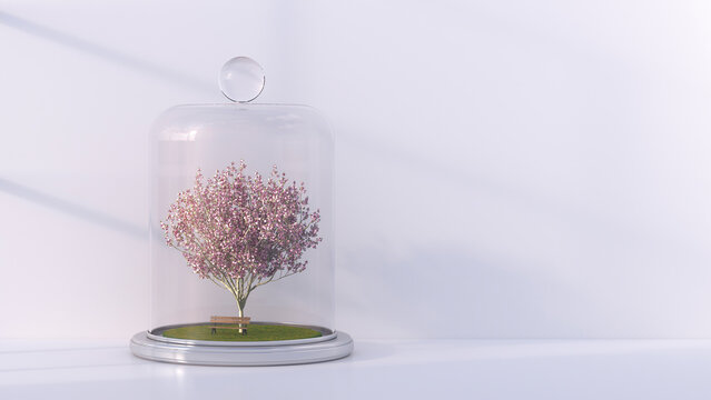 Japanese blooming cherry and a bench under bell jar, 3D Rendering