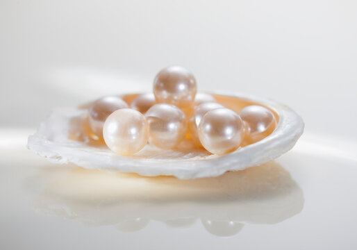 Pearls in open shell, close up