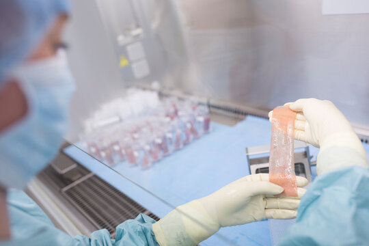 Scientist processing skin graft in laboratory