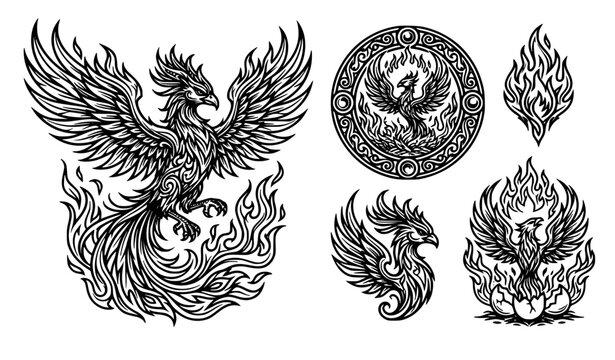 A highly detailed black and white vector line art illustration set of majestic phoenixes. The collection features a large powerful phoenix with fully spread wings, intricate feather details, sharp bea