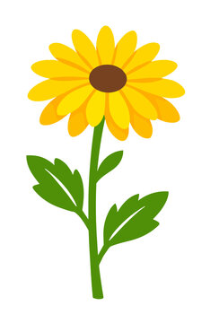 A classic yellow sunflower with a rich dark brown center and bright green stem with leaves, on a white background. Perfect for summer and nature themes.