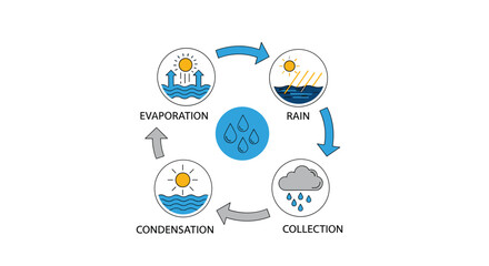 Fototapeta premium Water cycle diagram with evaporation condensation rain collection circular arrows educational science vector illustration design