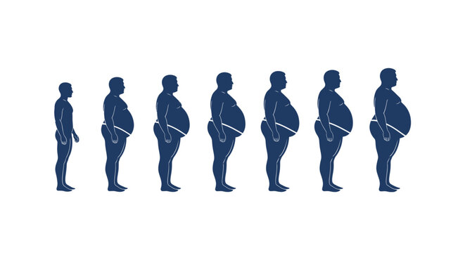 Weight Gain Progression Silhouette Series