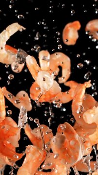 Fresh shrimp fly up and fall down. On a black background. Filmed on a high-speed camera at 1000 fps.
