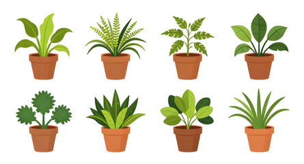 Fototapeta premium potted, houseplants, plants, botanical, indoor, greenery, leaves, nature, decor, succulent, tropical, gardening, flatdesign, vector, illustration, isolated, collection