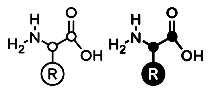 Amino acid molecular formula vector icons with filled and outline chemistry science symbols on transparent background