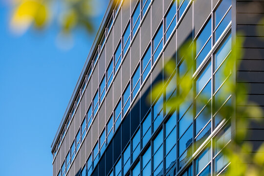 Blue glass facade in Nordic urban office architecture, where windows and reflections meet soft leaves across a clean exterior edge under clear sky