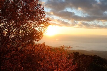 Golden sunlight glows over autumn trees and rolling hills, creating a warm and peaceful sunset landscape. © P