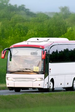 Road travel bus crossing a lush green area