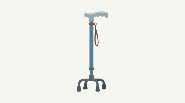 Walking Stick Senior Mobility Aid