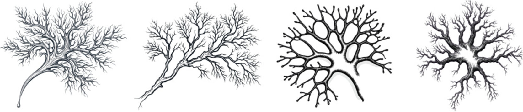 The isolated chaotic splatter resembling branching frost is intricately detailed with high-contrast tendrils, set against a stark white background for precise vectorization