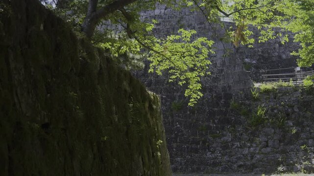 Stone Walls at Okaguchi Masugata Gate Site, Wakayama Castle, Wakayama City, Japan「和歌山城の石垣・岡口桝形(ますがた)の城門跡」和歌山県和歌山市