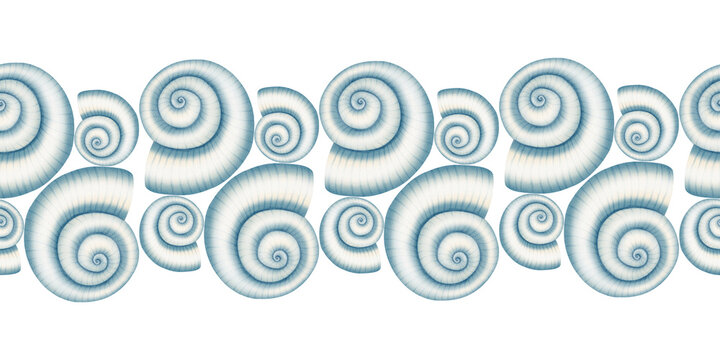 Watercolor seamless border featuring hand drawn conch seashells. Nautical repeating pattern with sea shells. Children's, nautical, travel themes. Suitable for design, prints, postcards, sea travel