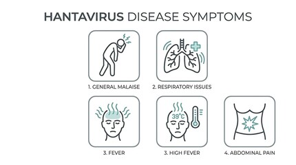 Naklejka premium Illustrative guide showing common hantavirus disease symptoms and their effects on human health