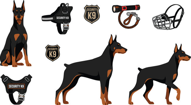 Doberman Pinscher Guard Dog and Security K9 Equipment Set Featuring Professional Harnesses Muzzle Badges and Flashlight for Working Animal Training Designs