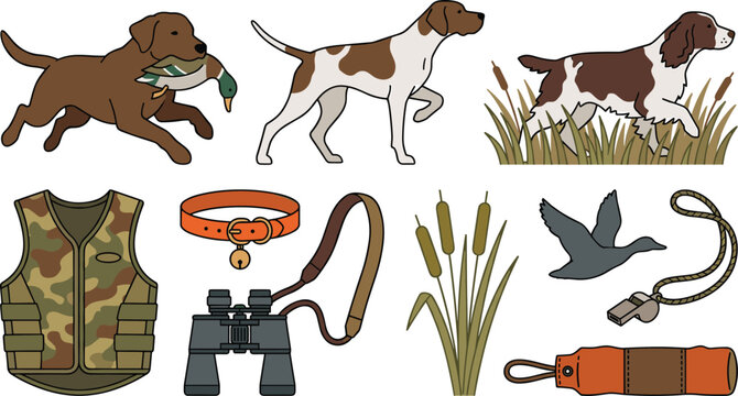 Hunting Dog Equipment and Outdoor Training Vector Illustration Featuring Sporting Canines Field Hunting Gear Tracking Accessories and Wildlife Retrieval Activities