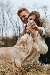 Fototapeta premium Smiling couple outdoors bottle feeding a goat kid, cozy sweaters, natural light, grassy field, candid lifestyle moment, bonding, care, gentle interaction, country mood, affectionate scene