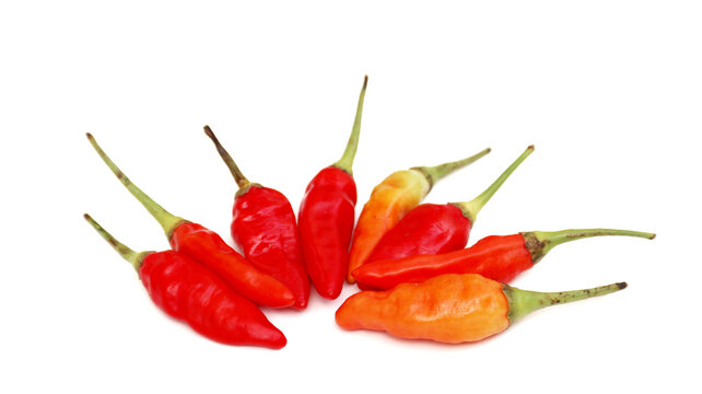 Red cayenne pepper (cabe rawit merah) isolated on white background	
