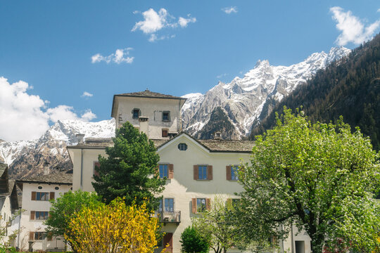 Vicosoprano mountain village with blooming trees and flowers on a sunny spring day, Val Bregaglia (Bergell) mountain valley, Graub&uuml;nden, Switzerland