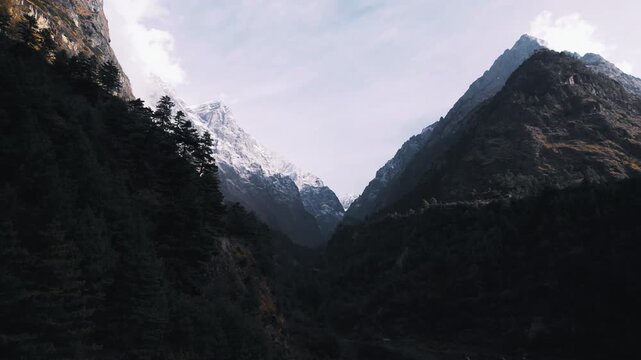 A V-shaped forested mountain gorge frames a distant snow-capped Himalayan peak between dark pine slopes in the Manaslu region of Nepal.