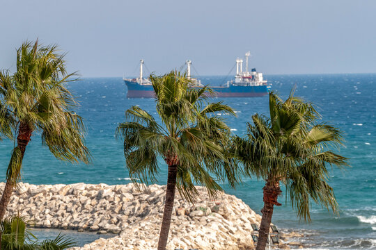 Green palm trees swaying in strong wind on coastal resort background. Beautiful mediterranean marine landscape with white stone breakwater and blurred cargo ship on horizon. Cyprus, Larnaca.