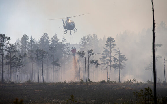 Helicopter dropping sand from bucket on land near forest