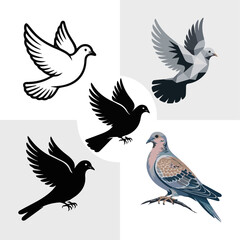Fototapeta premium kinds of different Dove Vector arts with white background 