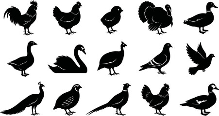 Black silhouettes of various birds on white background  rooster to duck and swan © VectoLover