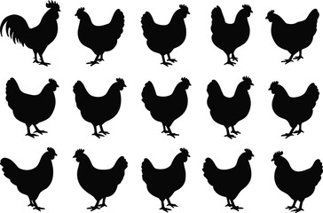 Chicken and rooster silhouette vector illustration set with various farm birds standing isolated on white background for poultry agriculture design. © MdRasel