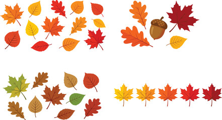 Colorful autumn leaves vector illustration set with maple oak birch foliage and brown acorn isolated on white background for seasonal background design. © MdRasel