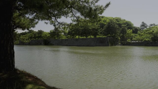Moat of Wakayama Castle, Wakayama City, Japan「和歌山城の堀」和歌山県和歌山市