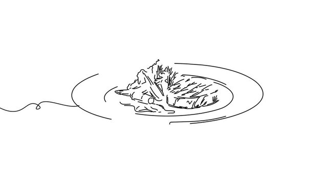 Animation of line drawing of elegant plating of gourmet dishes.