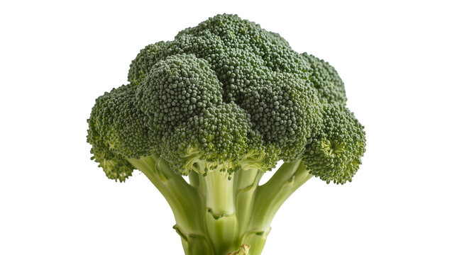 Fresh green broccoli head with textured florets, isolated on transparent background